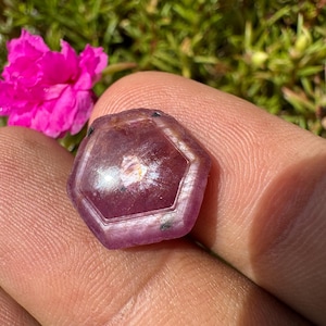 Może przedstawiać: Fasetowany, sześciokątny, głęboko czerwony kamień szlachetny o wypolerowanej powierzchni. Klejnot trzymany jest między palcami, z jasnoróżowym kwiatem i zielonymi liśćmi w tle. Fasetki klejnotu odbijają światło.