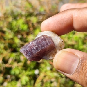 May include: A close-up of a purple ruby crystal embedded in a white matrix. The crystal is rough and has a natural, unpolished look.
