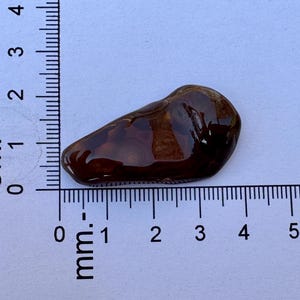May include: A polished, dark brown, irregular-shaped stone cabochon with a smooth, glossy surface. The stone is positioned against a ruler, showing a length of approximately 3.5 centimeters and a width of approximately 1.5 centimeters.