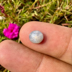 May include: A small, round, pale blue gemstone with a star-like pattern. The gem is held between fingers, with a blurred background of green foliage and a bright pink flower.