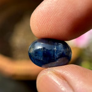 May include: A dark blue oval-shaped gemstone with a smooth, polished surface. The gemstone has a slight shimmer and is held between two fingers.
