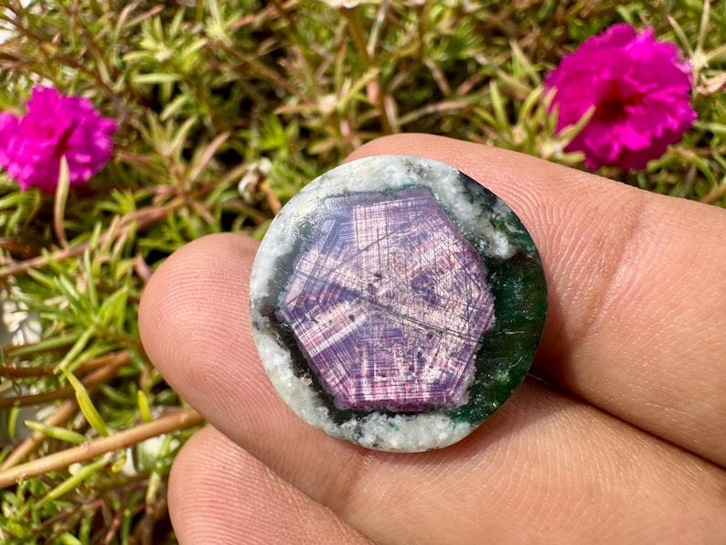 K&ouml;nnte beinhalten: Ein runder Edelstein mit einem sternf&ouml;rmigen Muster in Lila und Wei&szlig;, eingebettet in einen dunkelgr&uuml;nen und wei&szlig;en Hintergrund. Der Edelstein wird in einer Hand gehalten, mit rosa Bl&uuml;ten und gr&uuml;nem Laub im Hintergrund.