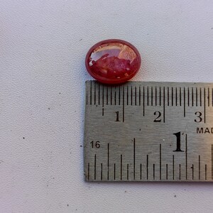 K&ouml;nnte beinhalten: Nahaufnahme eines ovalen roten Edelsteins mit einem Durchmesser von etwa 2,5 cm. Der Edelstein liegt auf einem Lineal mit Markierungen in Zentimetern und Millimetern.