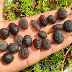 COLOMBIANITE, Cintamani Stone, Raw Crystal - Oval - Obsidian, Tektite, Metaphysical, Rare Healing Crystals and Stones