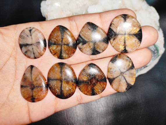 Chiastolite - Cabochon Chiastolite - Cabochon