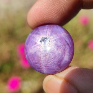 以下が含まれることがあります： 中央に星形の模様が入った丸い紫色の宝石。宝石は銀のリングにセットされています。