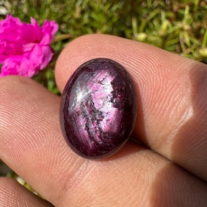 May include: A polished, oval-shaped gemstone with a deep purple hue and iridescent streaks. The stone is held between fingers, with a bright pink flower and green foliage in the background. The gemstone's surface reflects light, creating a shimmering effect.