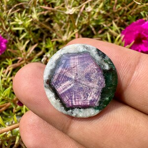 K&ouml;nnte beinhalten: Ein runder Edelstein mit einem zentralen, sternf&ouml;rmigen Muster in Lila, umgeben von gr&uuml;nen und wei&szlig;en Schichten. Der Edelstein wird in einer Hand gehalten, mit rosa Bl&uuml;ten und gr&uuml;nem Laub im Hintergrund.