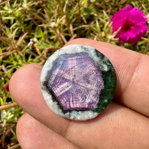 K&ouml;nnte beinhalten: Ein runder Edelstein mit einem lila, sternartigen Muster in der Mitte, umgeben von einem gr&uuml;nen und wei&szlig;en Rand. Der Edelstein wird in einer Hand gehalten, mit einem Hintergrund aus gr&uuml;nem Laub und rosa Bl&uuml;ten.
