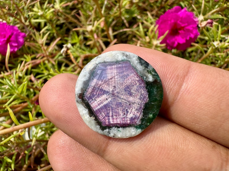 K&ouml;nnte beinhalten: Ein runder Edelstein mit einem lila, sternartigen Muster in der Mitte, umgeben von einem gr&uuml;nen und wei&szlig;en Rand. Der Edelstein wird in einer Hand gehalten, mit einem Hintergrund aus gr&uuml;nem Laub und rosa Bl&uuml;ten.