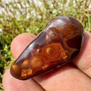 May include: A polished, teardrop-shaped stone featuring deep mahogany and amber tones. The surface displays intricate, concentric circular patterns and translucent layers that create a multi-dimensional, organic appearance with a smooth, glossy finish.
