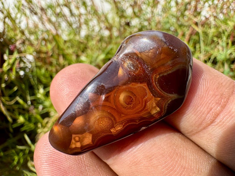 May include: A polished, teardrop-shaped stone featuring deep mahogany and amber tones. The surface displays intricate, concentric circular patterns and translucent layers that create a multi-dimensional, organic appearance with a smooth, glossy finish.