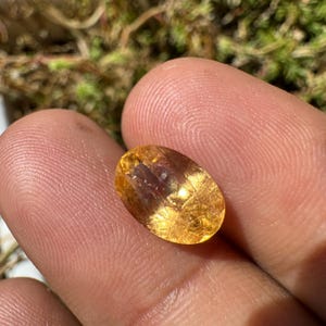 May include: A golden oval-shaped gemstone with a translucent appearance and visible internal striations.