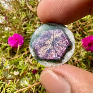 K&ouml;nnte beinhalten: Ein runder, dekorativer Stein mit einem geometrischen Muster in Lila-, Wei&szlig;- und Gr&uuml;nt&ouml;nen. Der Stein wird zwischen Fingern gehalten, vor einem Hintergrund aus gr&uuml;nem Laub und leuchtend rosa Bl&uuml;ten.