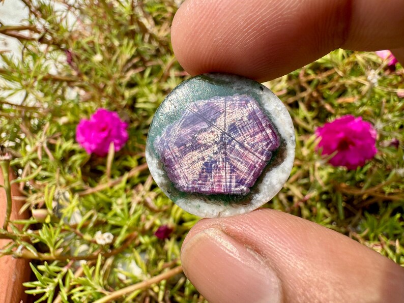 K&ouml;nnte beinhalten: Ein runder, dekorativer Stein mit einem geometrischen Muster in Lila-, Wei&szlig;- und Gr&uuml;nt&ouml;nen. Der Stein wird zwischen Fingern gehalten, vor einem Hintergrund aus gr&uuml;nem Laub und leuchtend rosa Bl&uuml;ten.