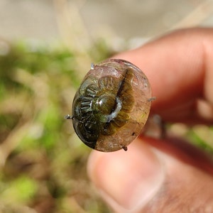 TOURMALINE Cabochon - Carved watermelon Tourmaline Cabochon for jewellery Making - tourmaline crystal - watermelon tourmaline - healing