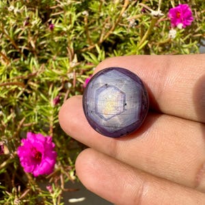 May include: A spherical, polished, purple gemstone displaying a six-pointed star design. The gem is held in a hand, set against a backdrop of green foliage and bright pink flowers. The gem's surface reflects light.