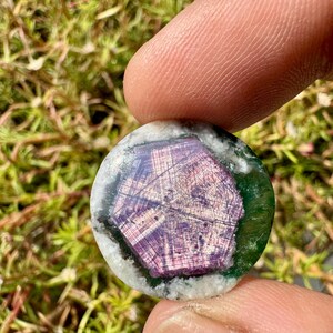 K&ouml;nnte beinhalten: Ein runder Edelstein mit einem zentralen, facettierten, purpurroten Design. Der Edelstein ist von einem gr&uuml;nen und wei&szlig;en Rand umgeben. Das Bild wurde im Freien mit gr&uuml;nem Laub im Hintergrund aufgenommen.