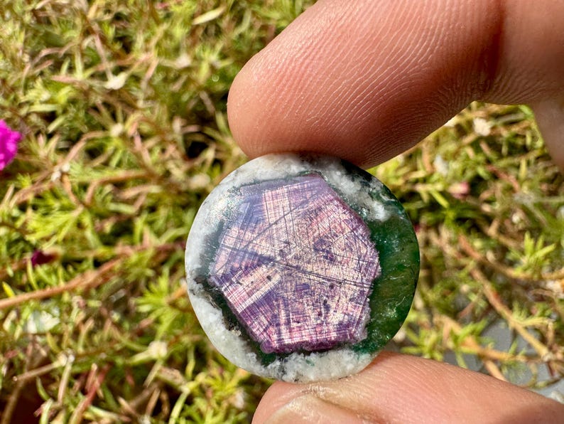 K&ouml;nnte beinhalten: Ein runder Edelstein mit einem zentralen, facettierten, purpurroten Design. Der Edelstein ist von einem gr&uuml;nen und wei&szlig;en Rand umgeben. Das Bild wurde im Freien mit gr&uuml;nem Laub im Hintergrund aufgenommen.