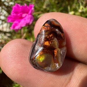 May include: A polished, oval-shaped gemstone with a mix of brown, orange, and gold hues. The stone has a translucent quality, with visible internal patterns. A bright pink flower is in the background.