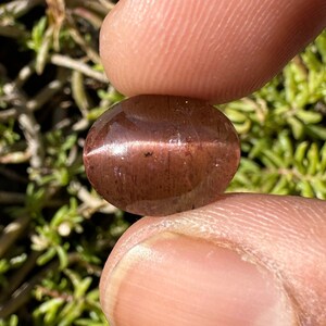 Iolite SUNSTONE Cats eye Cabochon - High Grade Sunstone Cats eye crystal - Sparkling Schiller sunstone cabochon with copper inclusions
