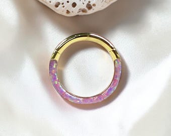 Septum Rings 