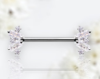 COPPIA Anello Capezzolo Doppia Frontale Gemma Barbecue IP Acciaio - Foto 7