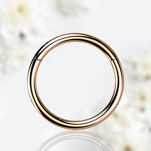 Implant Grade Titanium Nose Ring Hoop, Plain Clicker Ring Nose Septum Cartilage Conch Tragus Piercings Hoop Ring Jewelry