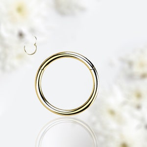 20g 18g 16g Titanium Nose Ring Hoop, Gold Hoop Clicker Ring Snug Fit Nose Septum Cartilage Conch Tragus Piercing Jewelry