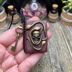 Book of dark spells/Wiccan and Pagan jewelry/Gothic charm with snake eye and a snake figure/Enchanted gift for witches, wizards, bookworms