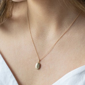 Pu&ograve; includere: Un pendente a forma di medaglione ovale dorato su una catena sottile. La collana &egrave; indossata sopra un top bianco. Il medaglione pende all'altezza del petto, riflettendo la luce. La catena e il pendente sembrano essere in metallo lucido.