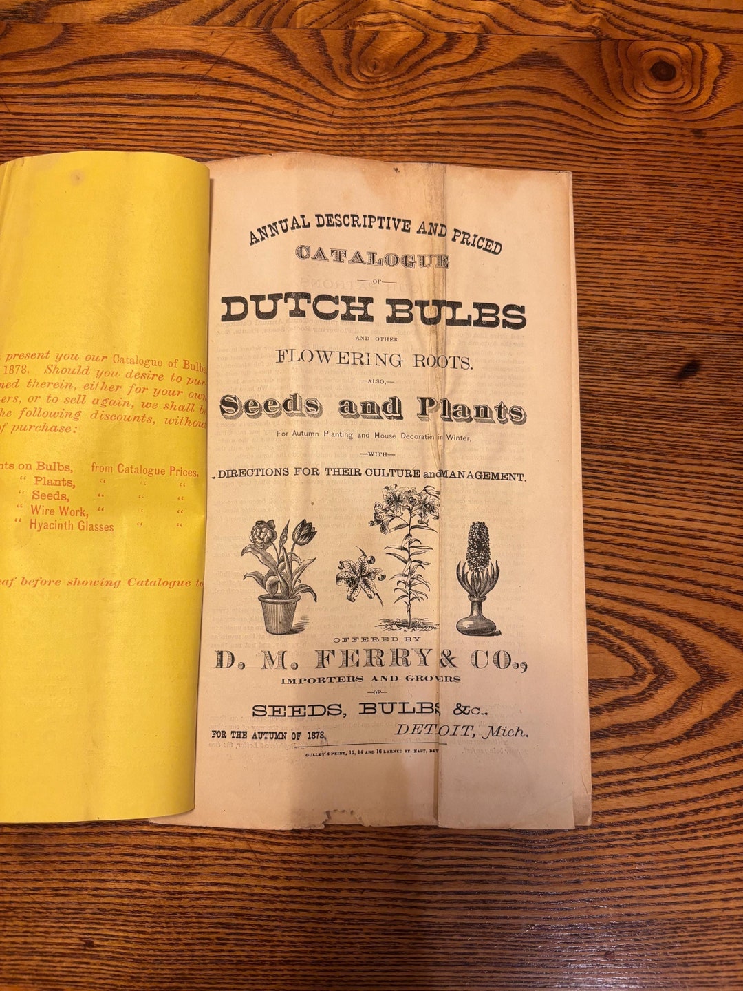 RARE 1878 D.M. Ferry & Co., Autumn Catalog, Detroit, Michigan, Dutch