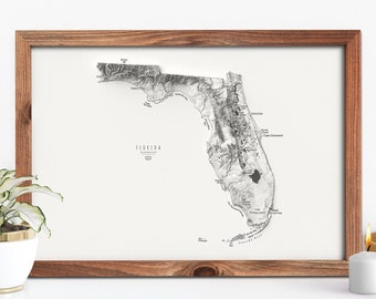 Florida Surveyor General Historic Map Print 1859 Okeechobee St Lucie Everglades Tampa Bay Miami Jacksonville Keys Wall Art Home Office