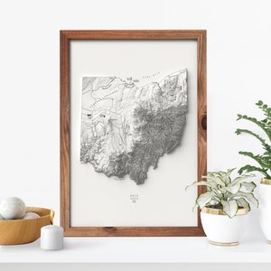 Ohio Map, Ohio Wall Art, Topographic Map, Ohio Decor, Ohio Gifts, Ohio Print, Ohio Poster, Ohio Map Art