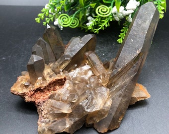 Smoky Quartz Cluster / Natural Crystal