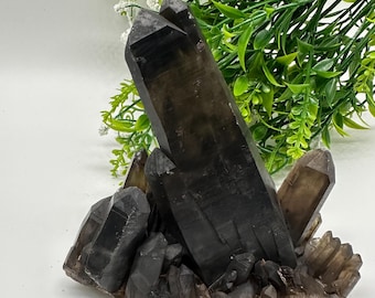 Black Smoky Quartz Cluster / Natural Crystal