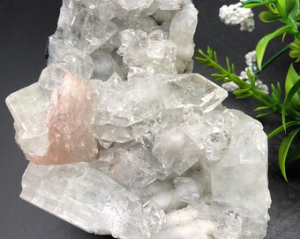 Apophyllite Zeolite Cluster / Natural Apophyllite Cluster