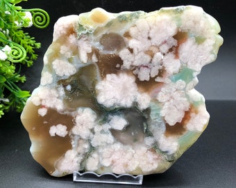 Polished Flower Agate Slab / Cherry Blossom Agate / Sakura Agate