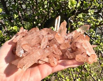 Quartz Crystal Cluster / Natural Quartz Cluster / Healing Crystal