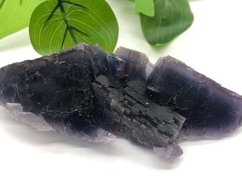 Blue Fluorite Cluster / Natural Fluorite Cluster / Healing Fluorite