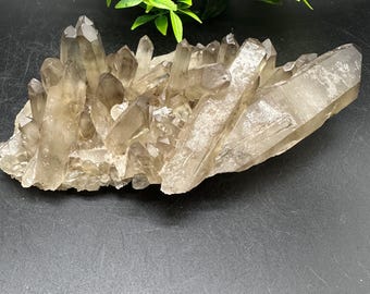 Quartz  Cluster / Natural Crystal