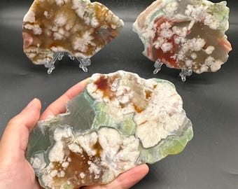 Polished Flower Agate Slab / Cherry Blossom Agate / Sakura Agate