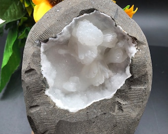Apophyllite Geode with Zeolite / Natural Apophyllite / Healing Crystal