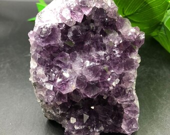 Amethyst Cluster / Natural Crystal / Healing Crystal