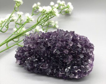 Amethyst Cluster / Natural Crystal / Healing Crystal / Purple Crystal