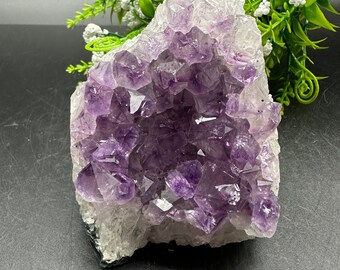 Amethyst Cluster / Natural Crystal / Healing Crystal