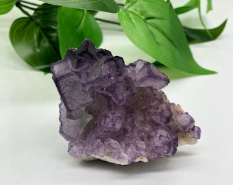 Purple Fluorite Cluster / Natural Fluorite Cluster
