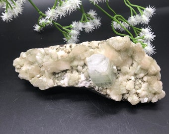 Apophyllite Stilbite Cluster /Natural Apophyllite Stilbite Cluster
