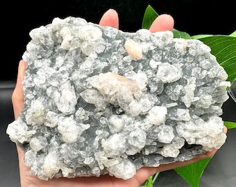 Apophyllite Cluster