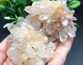Quartz Crystal Cluster / Natural Quartz Cluster / Healing Crystal